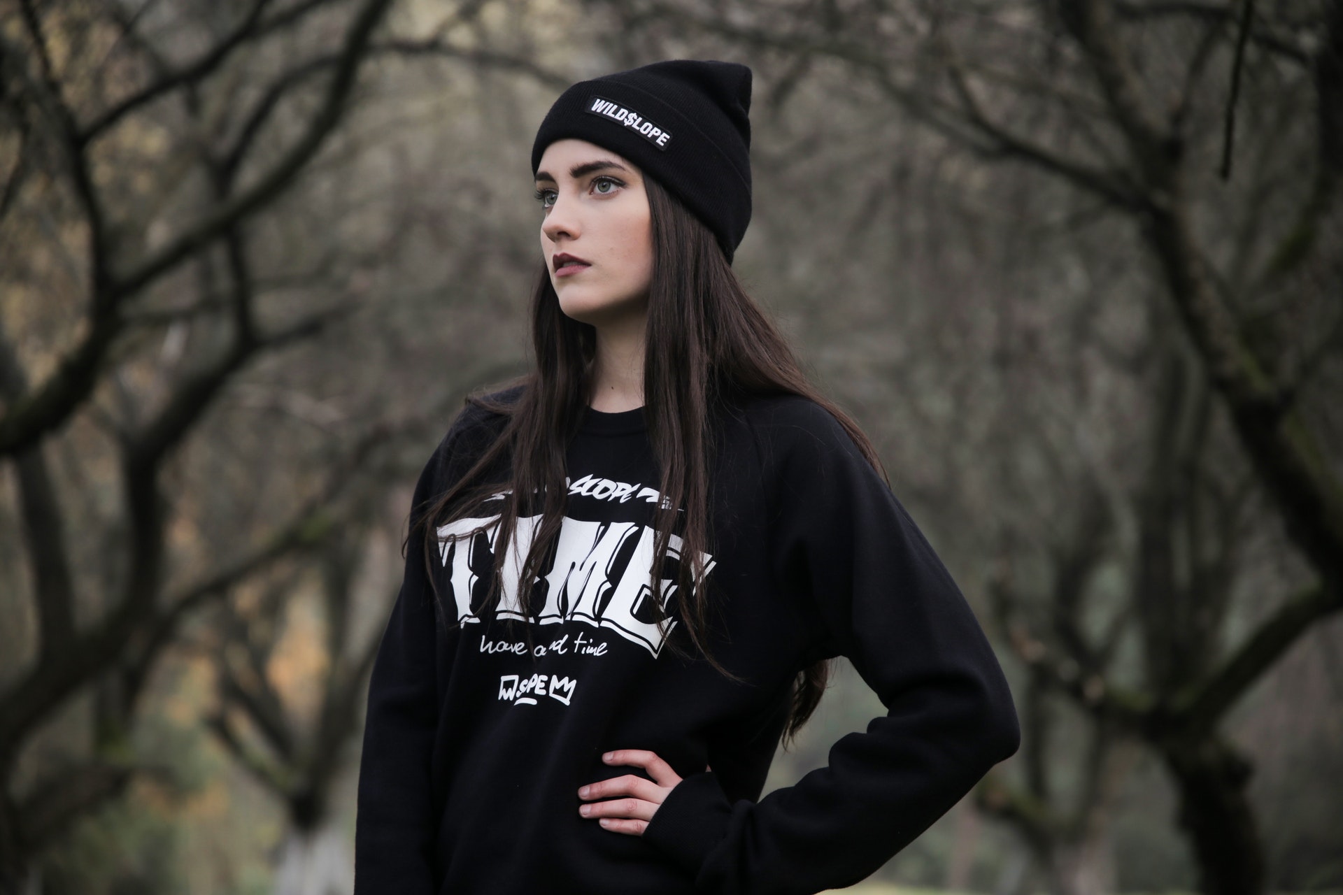 pexels-pixabay-206434 sweatshirt